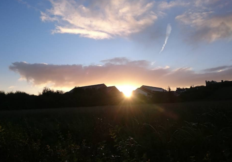 Screenshot 2026 01 27 154815 768x538