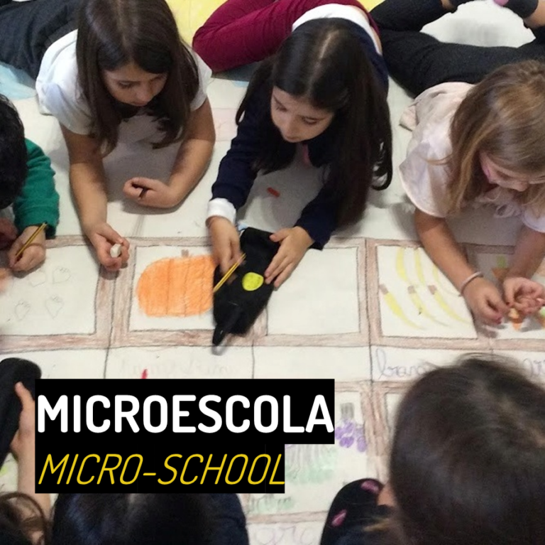 microescola orig 768x767